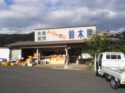伊豆と言えば「みかん」