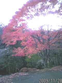 答えは～o(^o^)o
