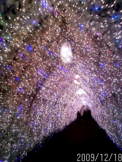 行ってきましたぁ o(^o^)o
