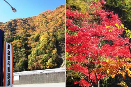 紅葉求めて（山梨県 早川町）