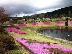 大仁瑞泉境　花模様