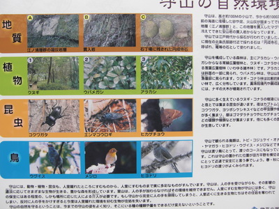 守山展望台からの田方平野