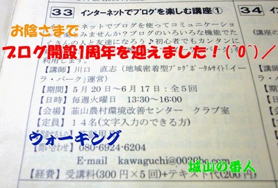 ブログ開設！！1周年を迎えました。＼(^o^)／