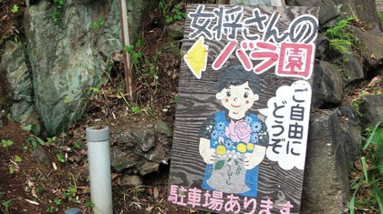 女将さんのバラ園in旅館一句石