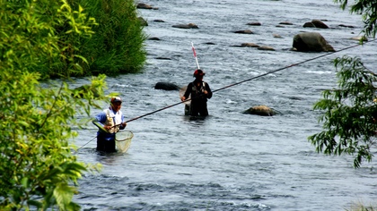 涼風！！狩野川の景観（３）鮎釣り