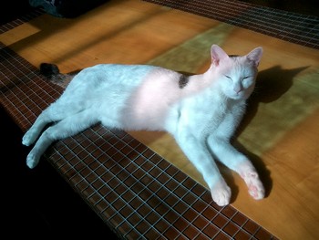 ゴールデンウィーク近し