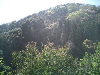 赤沢方面へ
