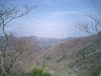 白蟻駆除