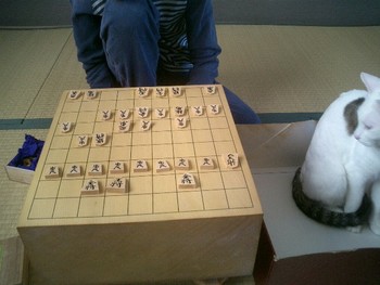 のんびりと将棋を指す