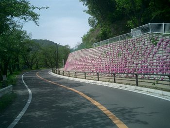 軽トラの車窓から