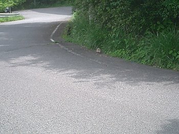 奥野ダムにて