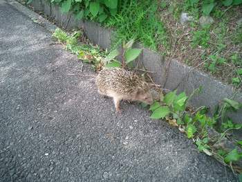 奥野ダムにて