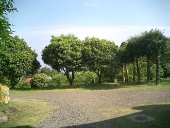 熱川で