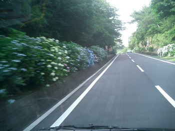 トラックで走り回った