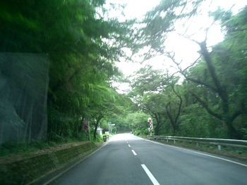 今日はN邸の上棟だった。大安だし