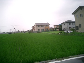 今日は大雨だった