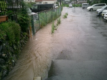今日は大雨だった
