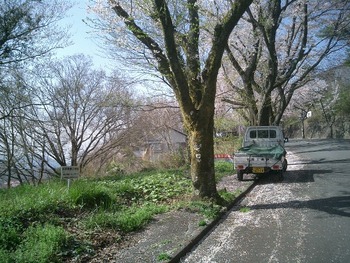 施主に頼まれて土地視察