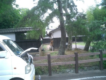 韮山金谷に耐震診断で