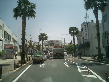 下田白浜の現場視察