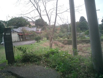 今井浜に行ってきた