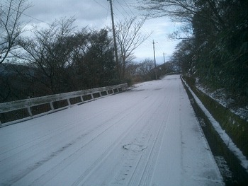 ついていない日だった