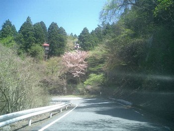 伊豆高原から天城高原