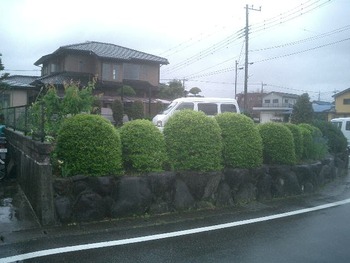 田京の土地視察へ