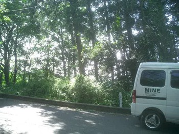 ダイヤランドの土地視察