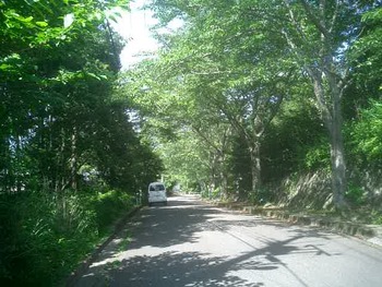 ダイヤランドの土地視察