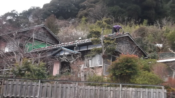 修善寺T邸解体中