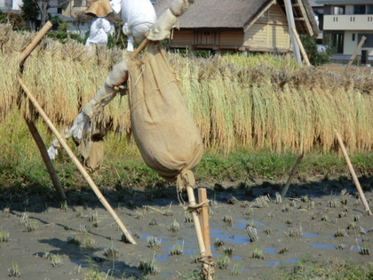 初めて訪れた！！登呂遺跡見学
