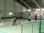 合コンテニス