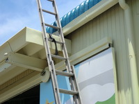 大屋根に軽々と