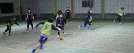 ダメリーノinミノリアール