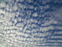 横浜ﾐﾆﾅｰﾙの土曜日