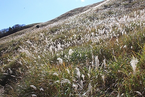 三筋山水源を発見