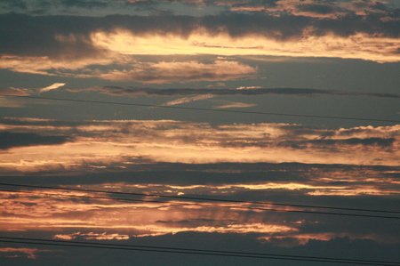 夕立の後には・・・
