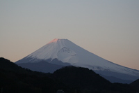 今日の富士山