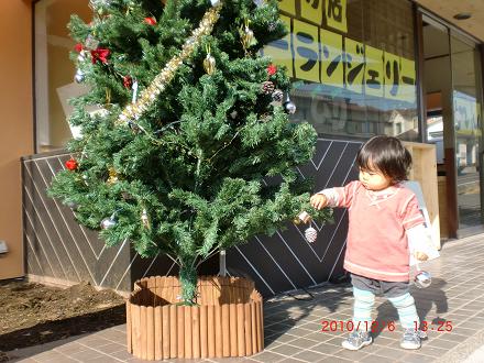 クリスマスツリー