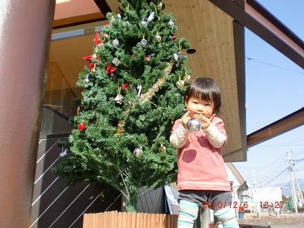 クリスマスツリー