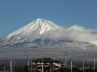 年末調整と確定申告