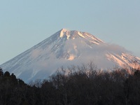 申告が近づきました決算の準備はおすみですか