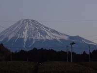 申告が近づきました準備はお済ですか？（２）