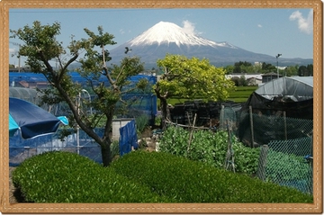 今回は屋外で出店する予定です