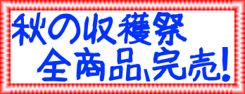 これらは前回に引き続き出店します