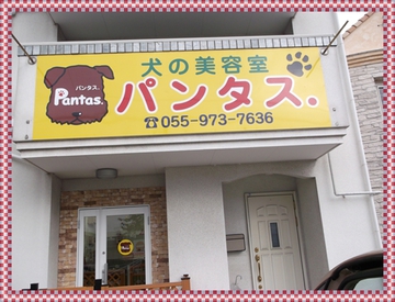 早く良くなるといいね