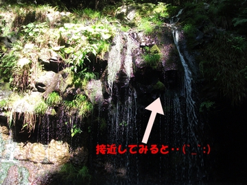 ＬＰＣ活動？
