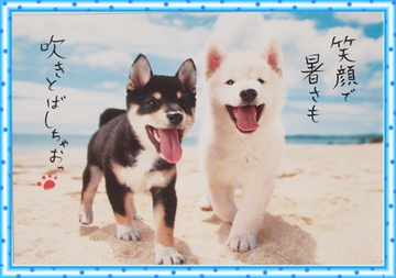 暑いけど顔晴ろう～（＾ｖ＾）