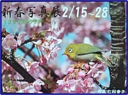 写真展ｉｎ伊豆市生きいきプラザ